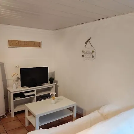Apartment En Rez De Jardin Et Terrasse Ds
